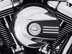 WILLIE G" SKULL COLLECTION - Air Cleaner Trim - Fits 16-17 Softail 61300217