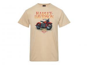 T-Shirt "Gouache - Munich" BRA40291885-M