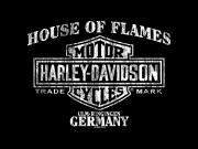 T-Shirt "Oil Drip - Ulm"_1