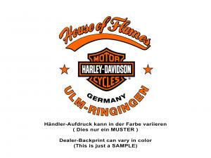 T-Shirt "REPRESENTING REVER - ULM"_1