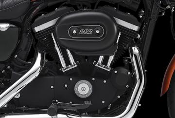 Harley-Davidson Styling pur
