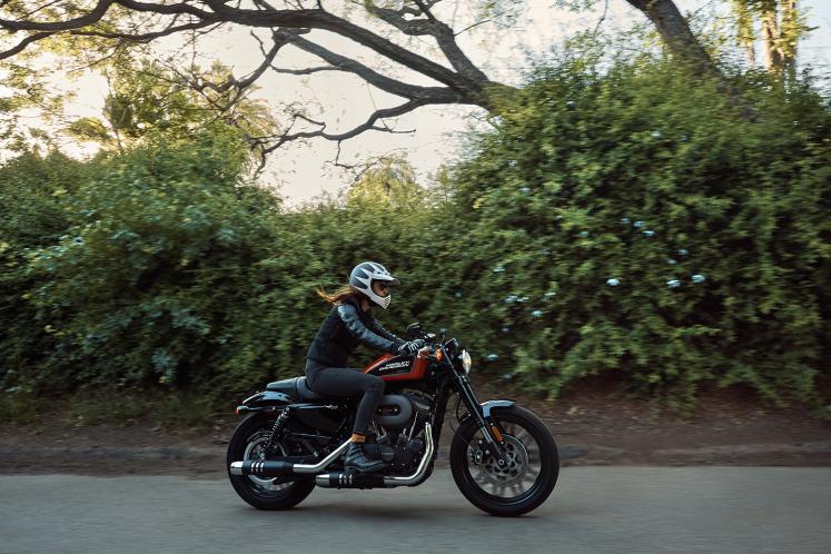 Sportster Modelle Info Meta House Of Flames Harley Davidson Come join the murder come fly with black we'll give you freedom from the human trap. house of flames harley davidson