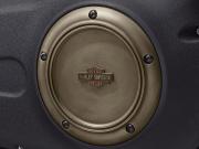 BRASS COLLECTION - Derby Cover 25700515