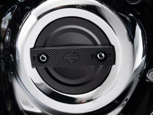 Switchback Timer Cover BLACK - M8 engine 17-later 25600165