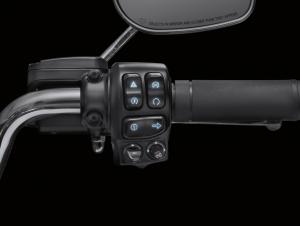 Lighted Hand Control Switches 71500248C