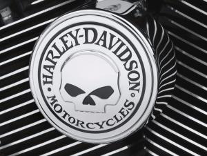 Willie G Skull Kollektion - Hupenabdeckung 61300622