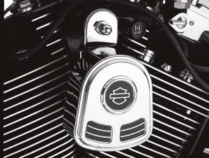 HUPENABDECKUNG MIT BAR & SHIELD LOGO 69166-01B