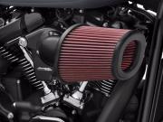 CREAMIN' EAGLE® HEAVY BREATHER EXTREME AIR CLEANER 29400387