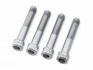 SOFTAIL® Rückenlehnen und Gepäckträger - Montagekit FLSTF, FLSTFB, FLSTFBS ab 2008 / FLSTN ab 2008 53075-03