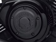 WILLIE G SKULL COLLECTION ENGINE TRIM - BLACK - AIR CLEANER TRIM 29400343