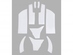 F. TRANSPARENTER LACKSCHUTZ - TRIKE ab '15 11100125