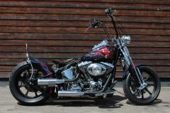 Gallery / Last Chance