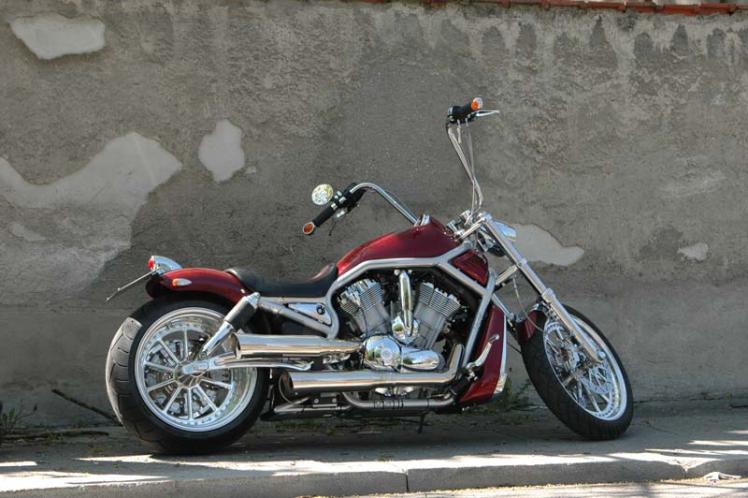 v rod mini apes
