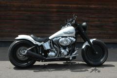 Gallery / White Skull