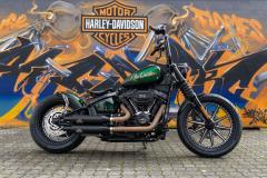 Gallery /  FXBBS Street Bob Umbau "Los Castellanos"