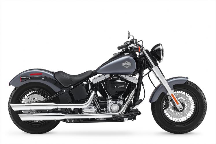 hd softail slim 2020
