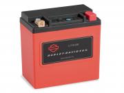 KIT,BAT,LITHIUM,IRON,PHOSPHATE 66000175